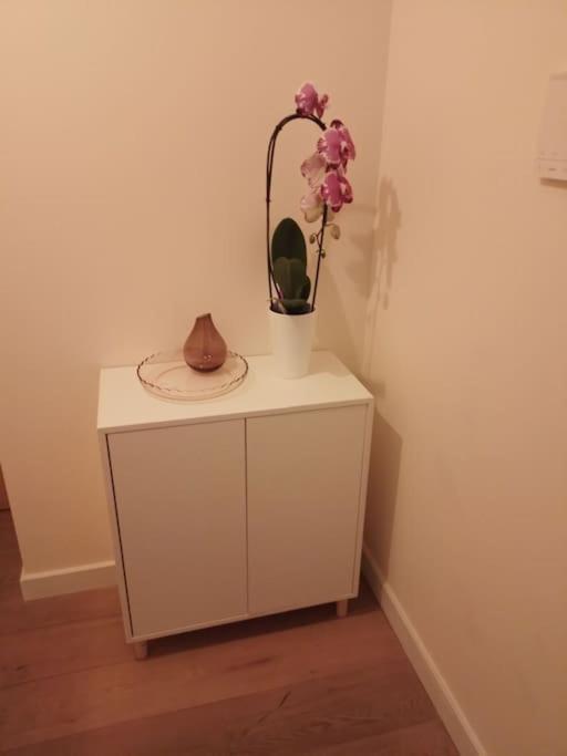 Beautiful 2Br/2Bar Apartement In European District Brussels Luaran gambar
